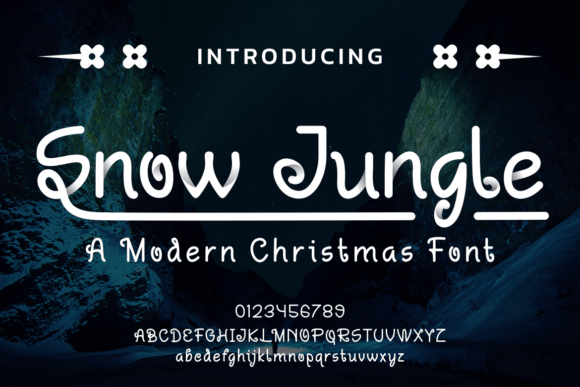 Snow Jungle Font for Web Design